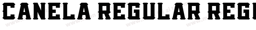 Canela Regular Regul字体转换